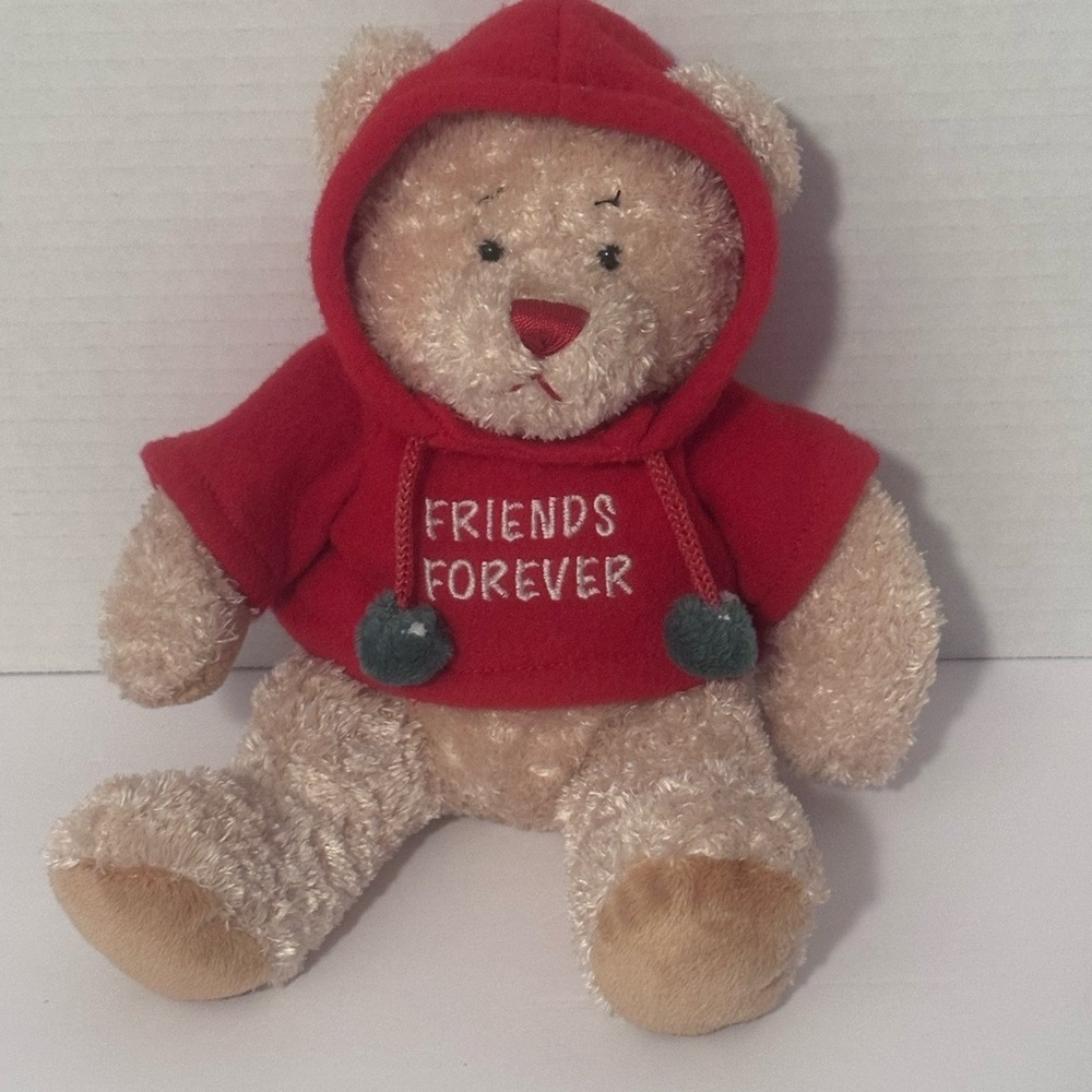 Vintage Ganz Friends Forever Hoodie Bear
